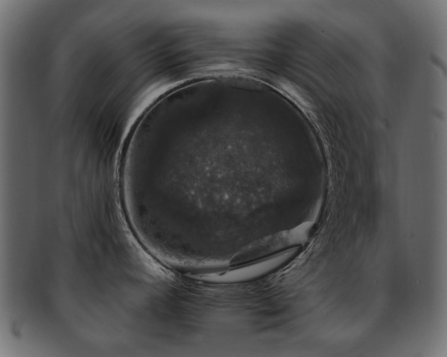 X0000093131392200709261339