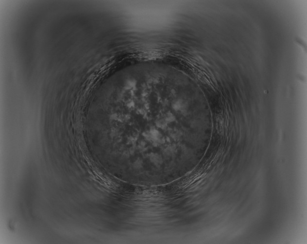 X0000093131393200709261338