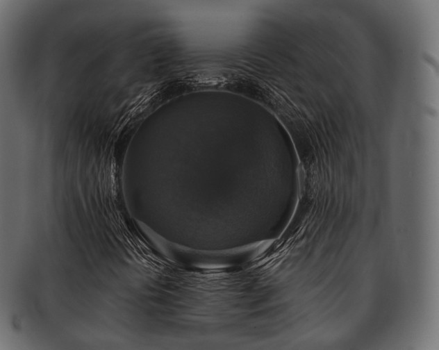 X0000093131394200709261338