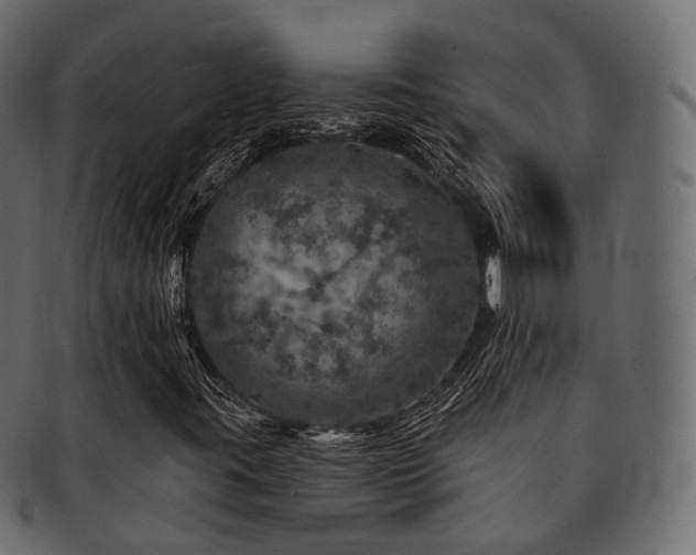 X0000093131395200709261338