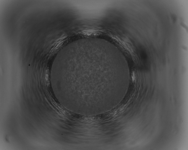 X0000093131396200709261338