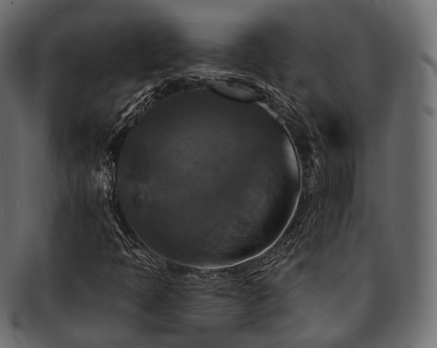 X0000093131397200709261338
