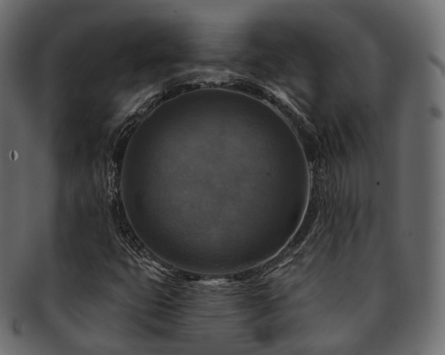 X0000093131399200709261338
