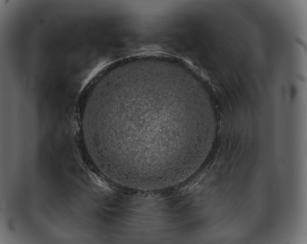 X0000093131400200709261338