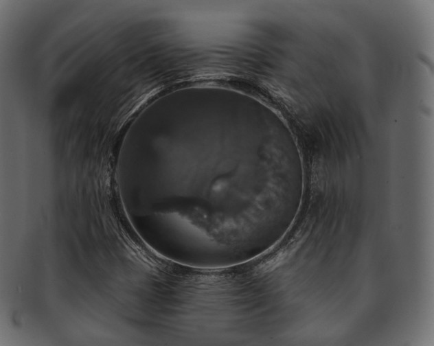 X0000093131401200709261338
