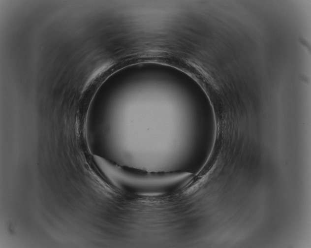X0000093131402200709261338