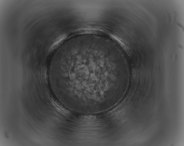 X0000093131403200709261338