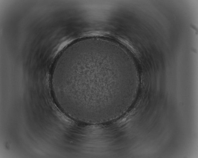 X0000093131404200709261338