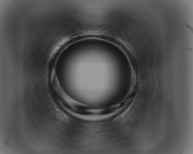 X0000093131406200709261338