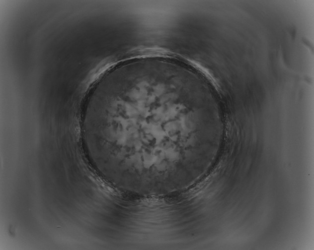 X0000093131407200709261338