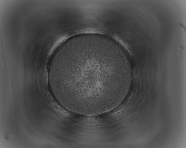 X0000093131408200709261338