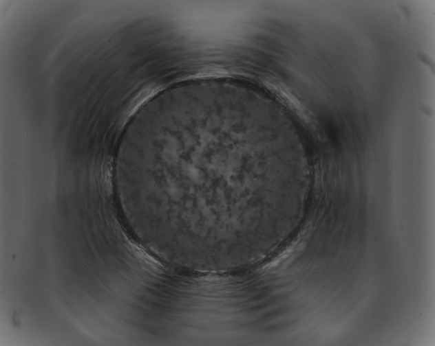 X0000093131409200709261338