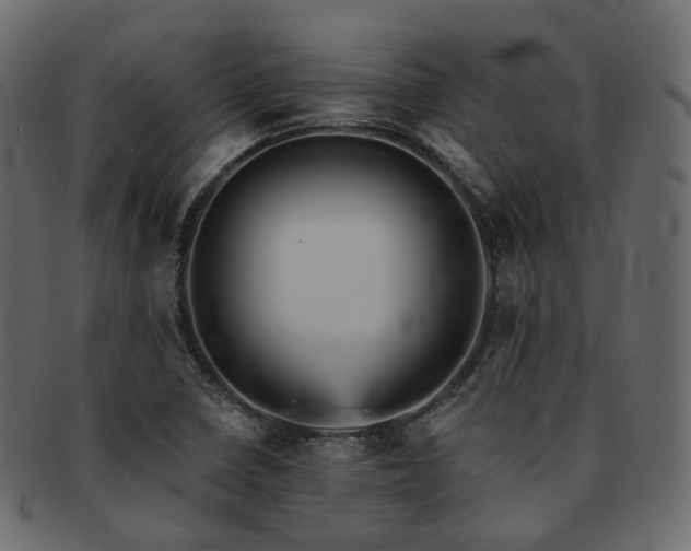 X0000093131410200709261338