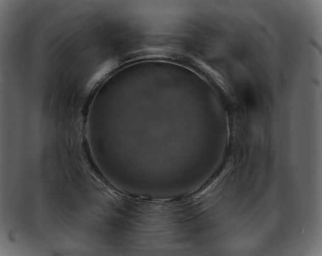 X0000093131411200709261338