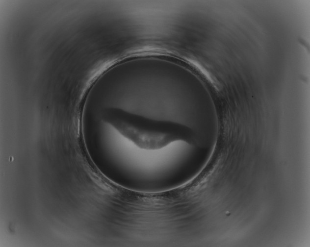 X0000093131413200709261338