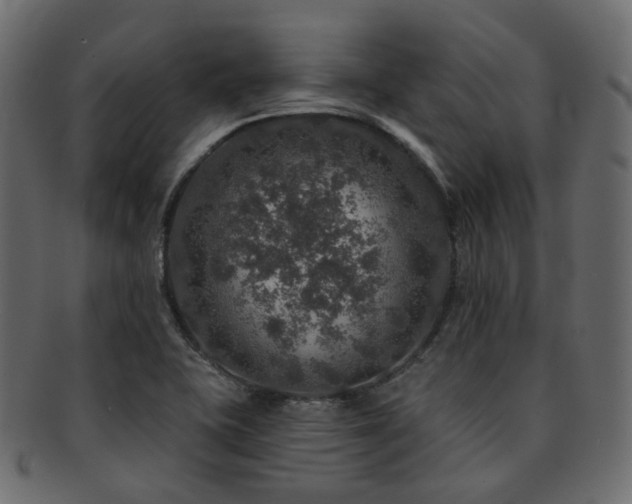 X0000093131415200709261338