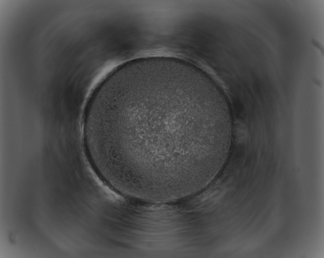 X0000093131416200709261338
