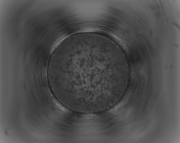 X0000093131417200709261338