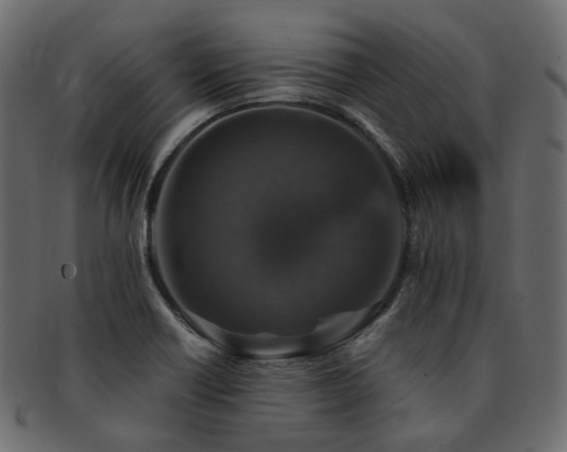 X0000093131418200709261338