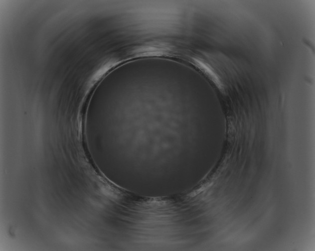 X0000093131419200709261338
