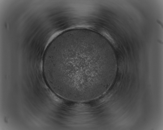 X0000093131420200709261338
