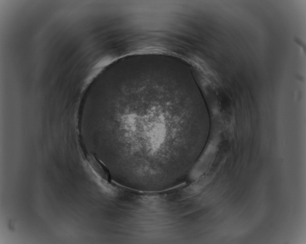 X0000093131422200709261338