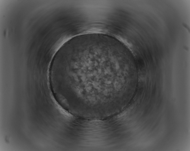 X0000093131423200709261338