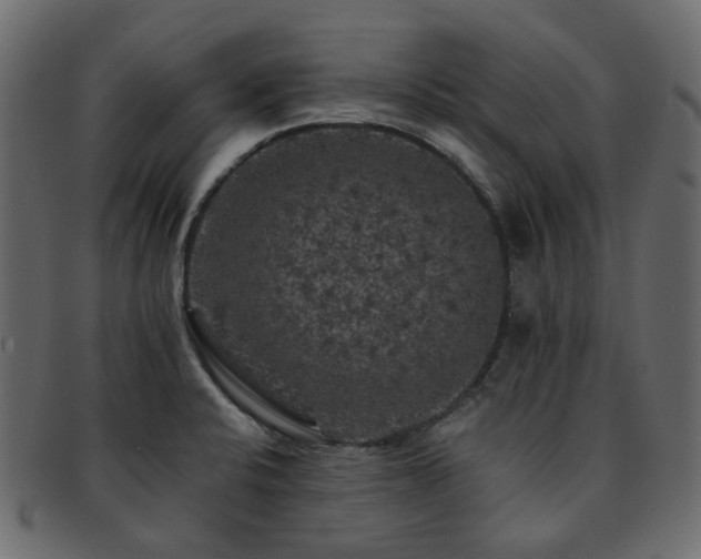 X0000093131424200709261338