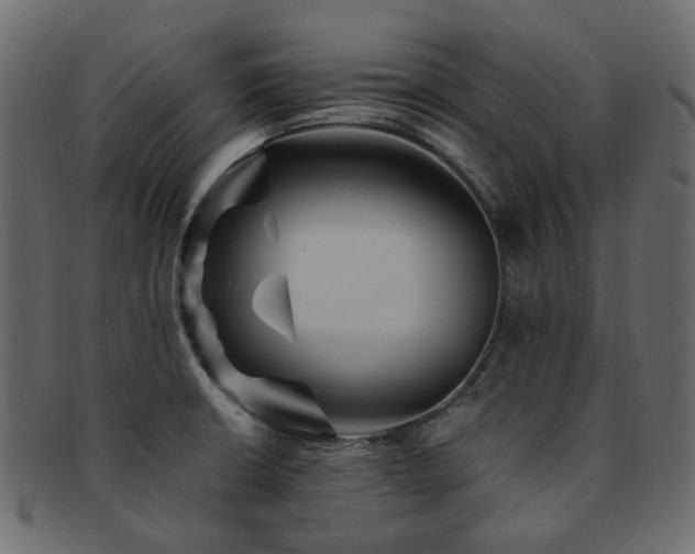 X0000093131426200709261338