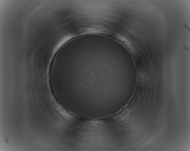X0000093131427200709261338