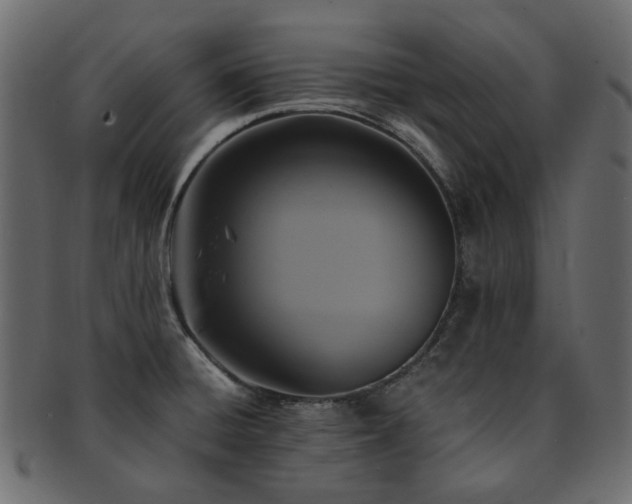 X0000093131428200709261338