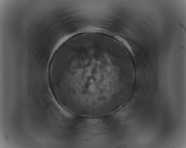 X0000093131429200709261338