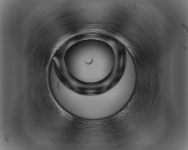 X0000093131430200709261338