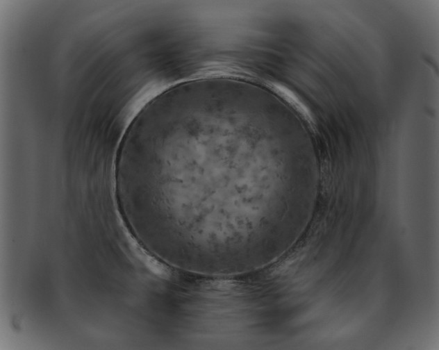 X0000093131431200709261338