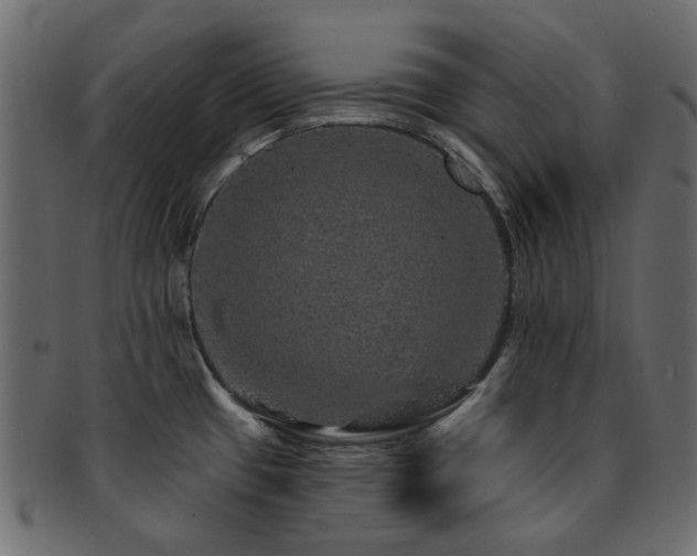 X0000093131433200709261339