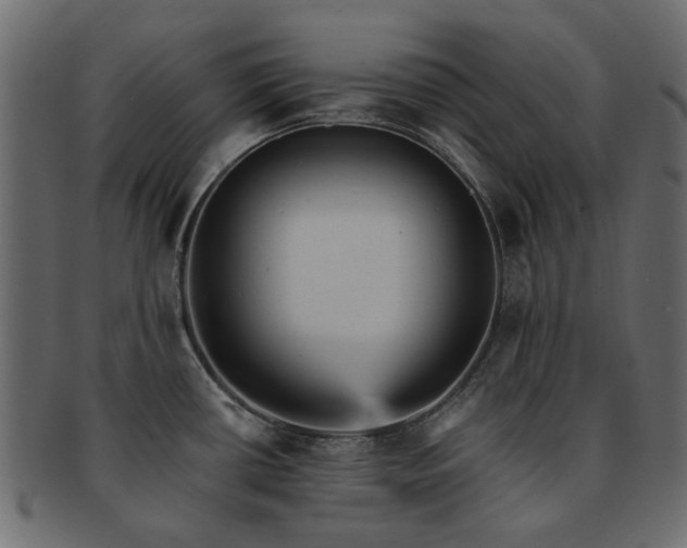 X0000093131434200709261339