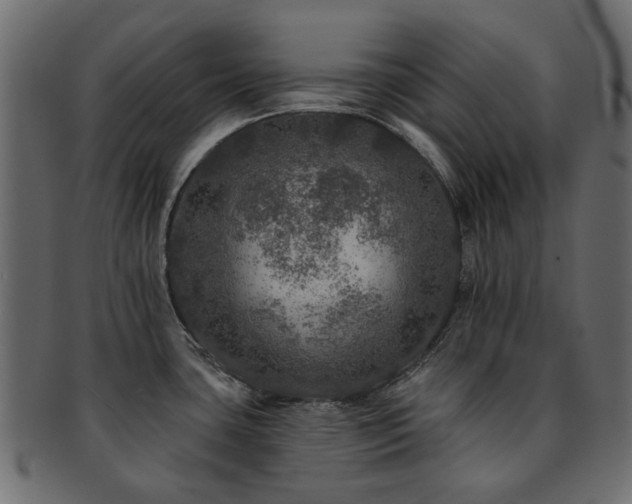 X0000093131435200709261339