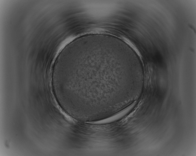 X0000093131437200709261339