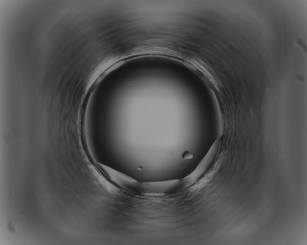 X0000093131438200709261339