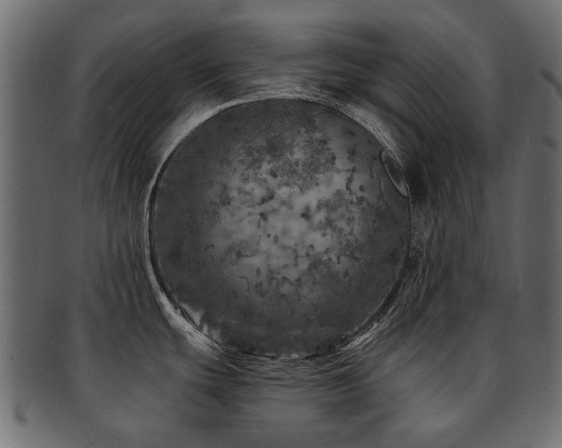 X0000093131439200709261339
