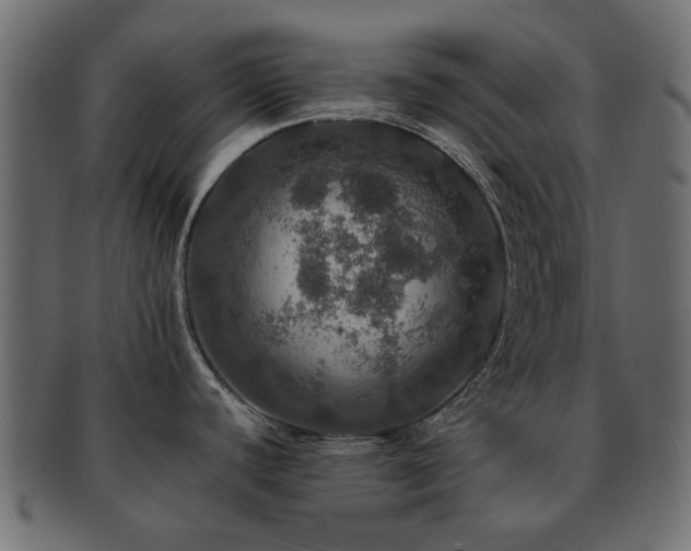 X0000093131440200709261339