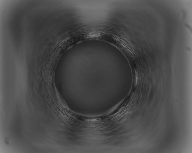X0000093131441200709261338