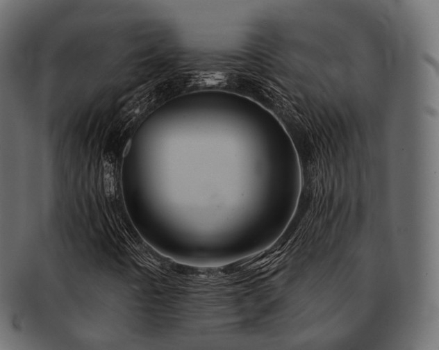 X0000093131442200709261338