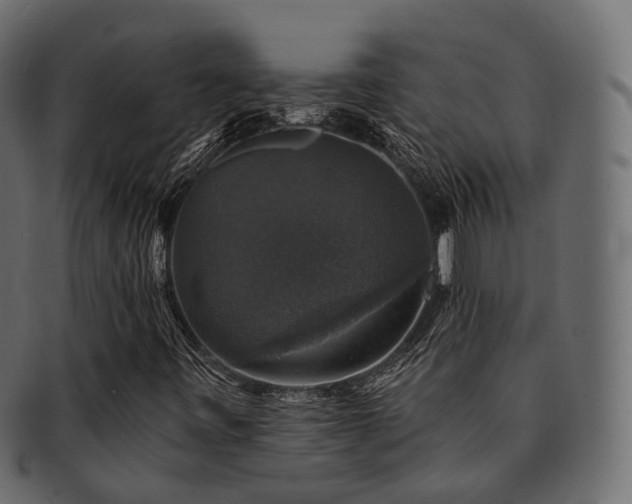 X0000093131443200709261338
