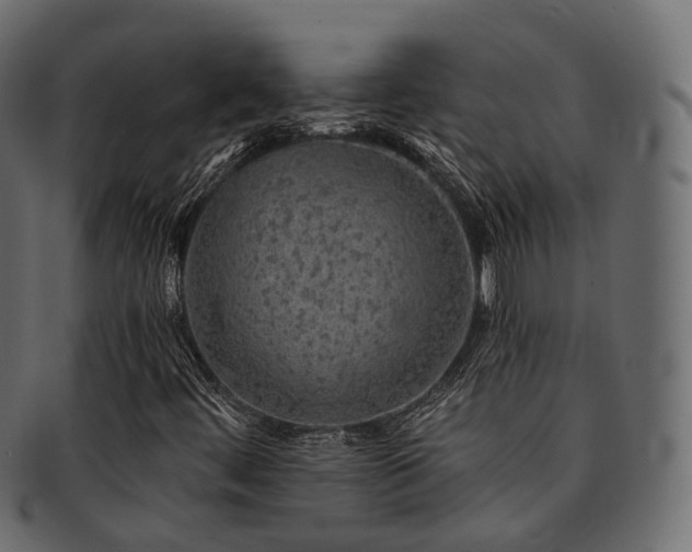 X0000093131444200709261338