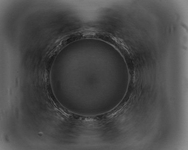 X0000093131445200709261338
