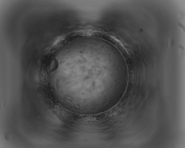 X0000093131446200709261338