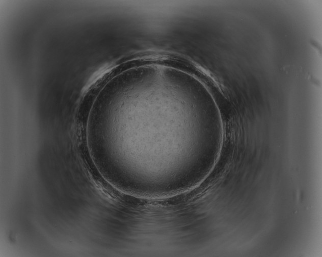 X0000093131448200709261338