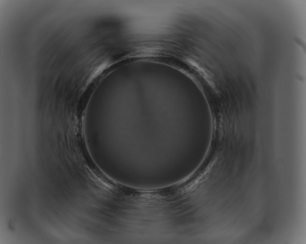 X0000093131449200709261338