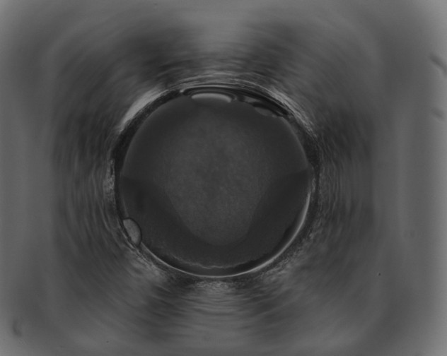 X0000093131450200709261338